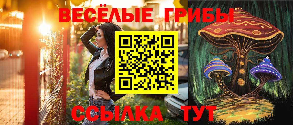 Псилоцибиновые грибы мухоморы Изобильный