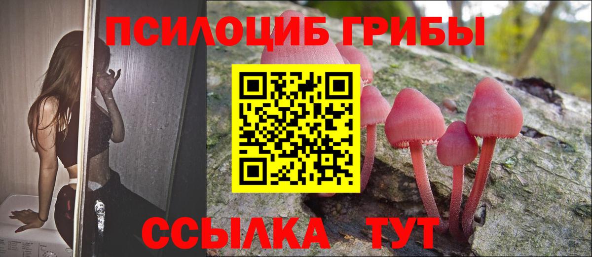 сколько стоит  Галлюциногенные грибы ЛСД  Вход с VPN  Изобильный 